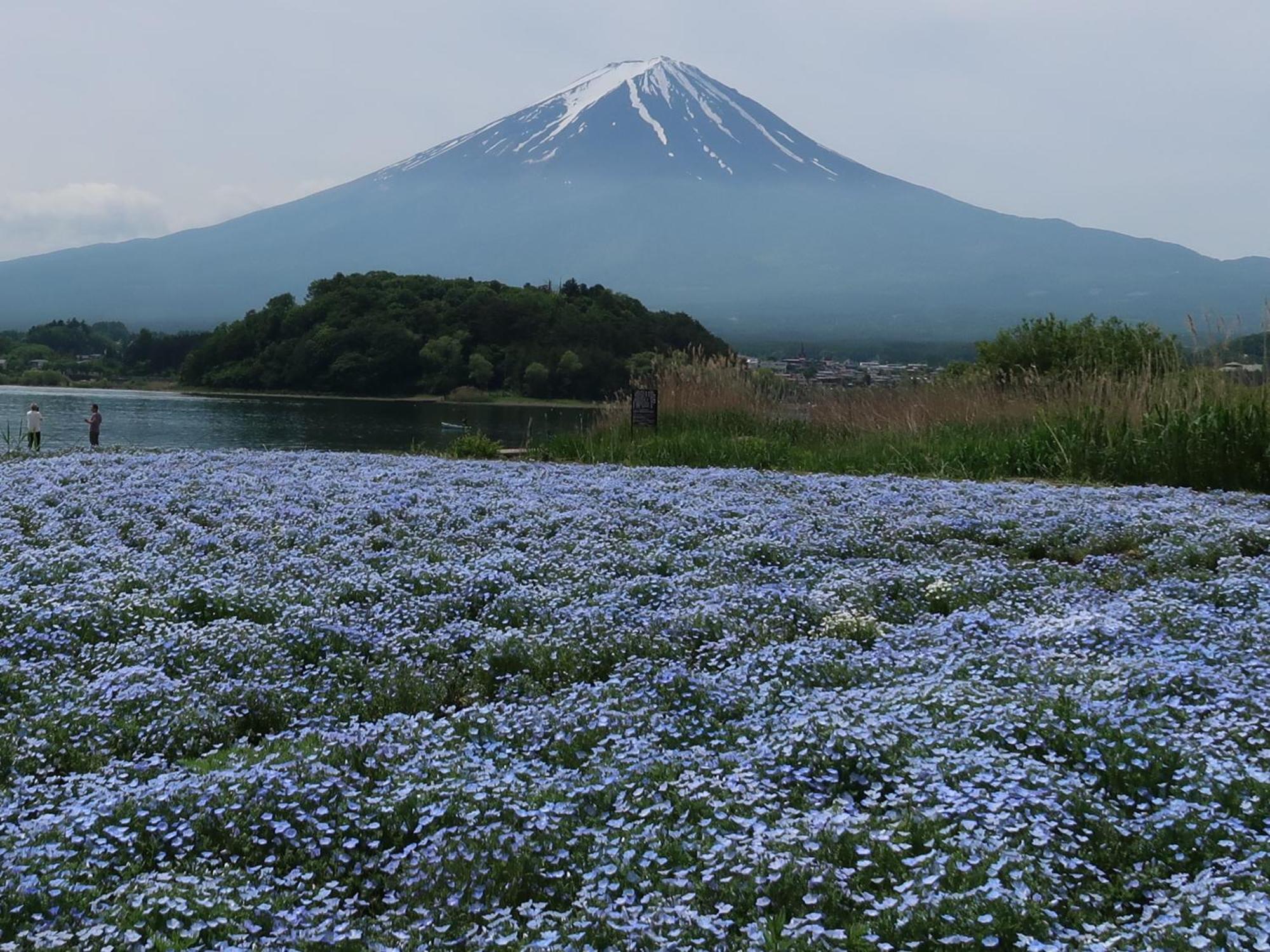 Kuranoyado Matsuya Villa Fujikawaguchiko Bagian luar foto